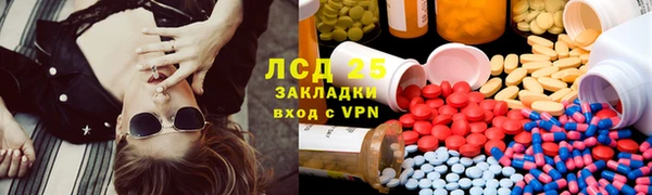 шишки Алзамай