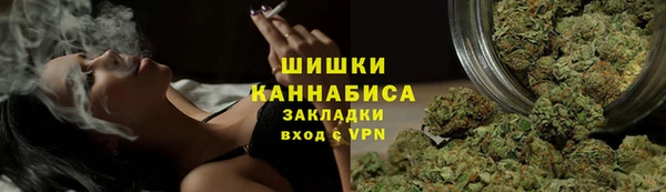 шишки Алексин