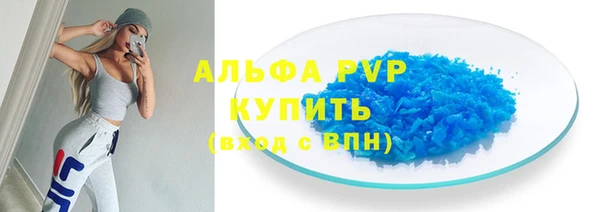 PSILOCYBIN Рославль