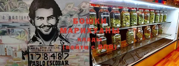 шишки Алзамай