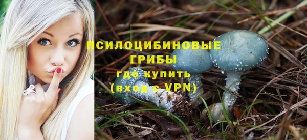 шишки Алексин