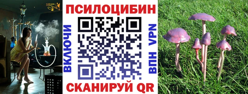 Псилоцибиновые грибы GOLDEN TEACHER  кракен ссылки  Куса 